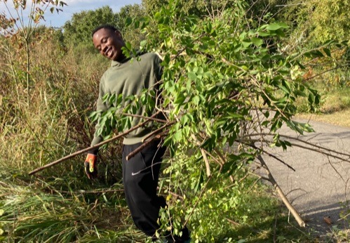 Student removes invasive plants