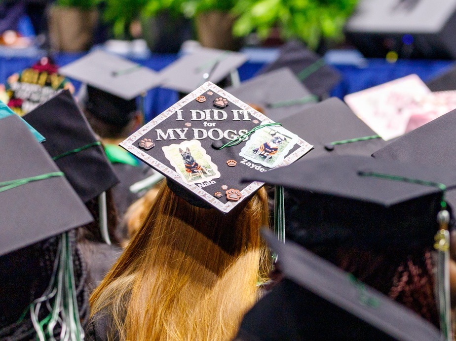 Commencement 2024 - decorated hat