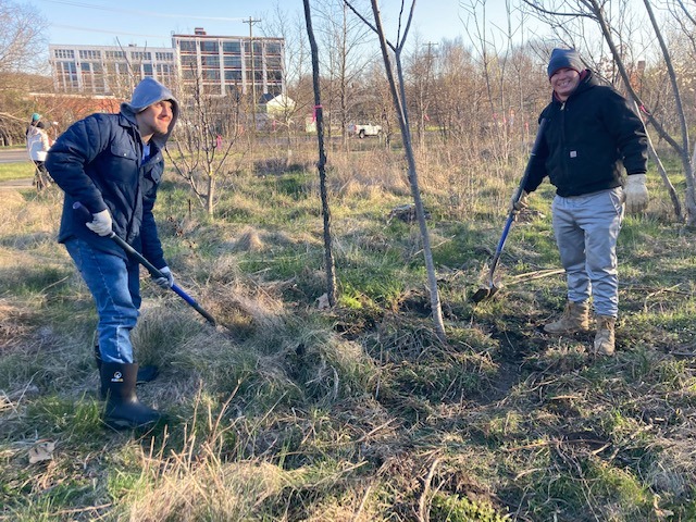 Two Environmental Engineering Technology students helping with habitat restoration tasks at the Freedom Tree Grove on Ludlow Ave